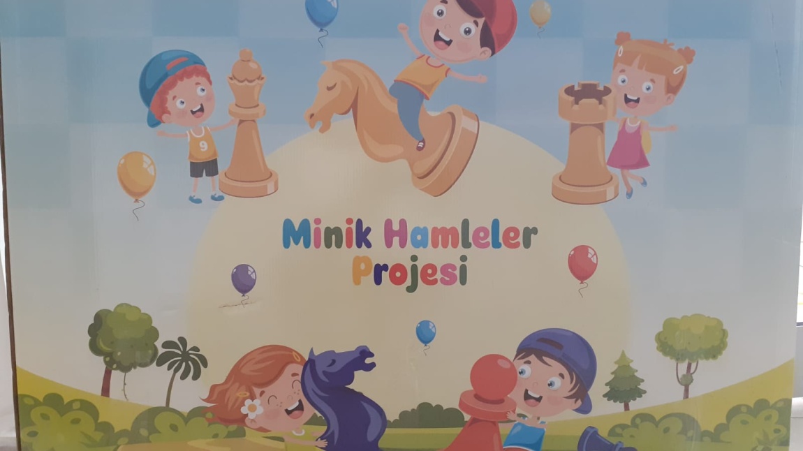 MİNİK HAMLELER PROJESİ